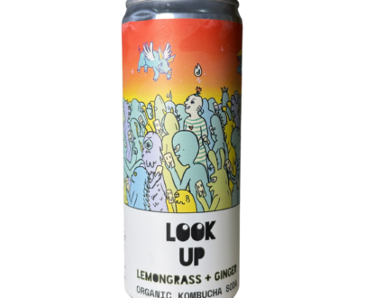 Counter Culture Organic Kombucha Lemongrass and Ginger 330ml